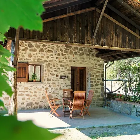 Agriturismo Il Gufo Farm stay